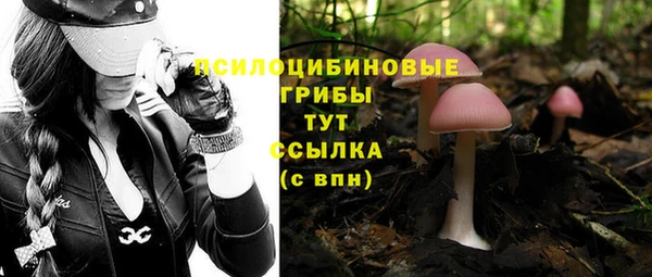 амфетамин Ладушкин